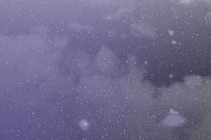 Vương Tử Huyền Bí Chapter 80 - Trang 4