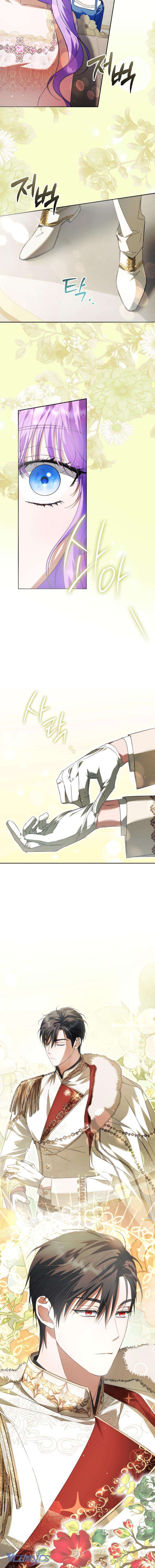 Các Nam Chính Đã Bị Nữ Phụ Cướp Mất Chap 26 - Trang 3