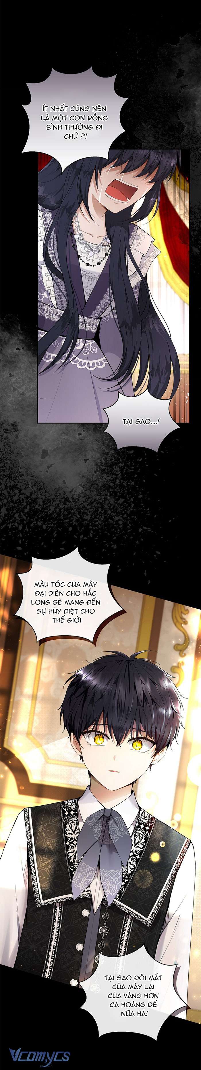 Sóc Con Tài Năng Chap 31 - Trang 2