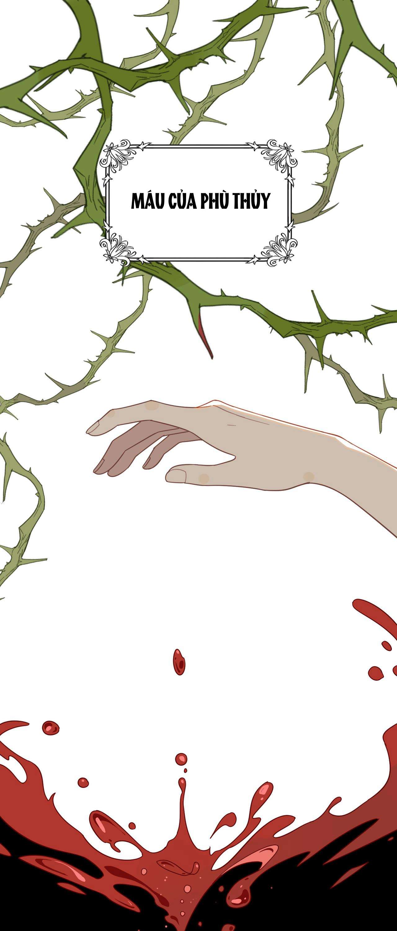 Xuyên thành phù thủy nuôi dưỡng kỵ sĩ thánh điện Chapter 29 - Trang 4