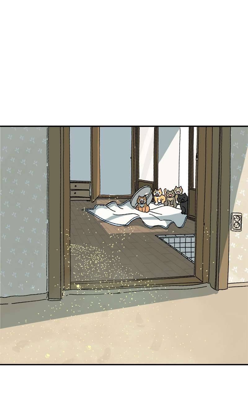 Chú Mèo Tata Chapter 3 - Trang 3