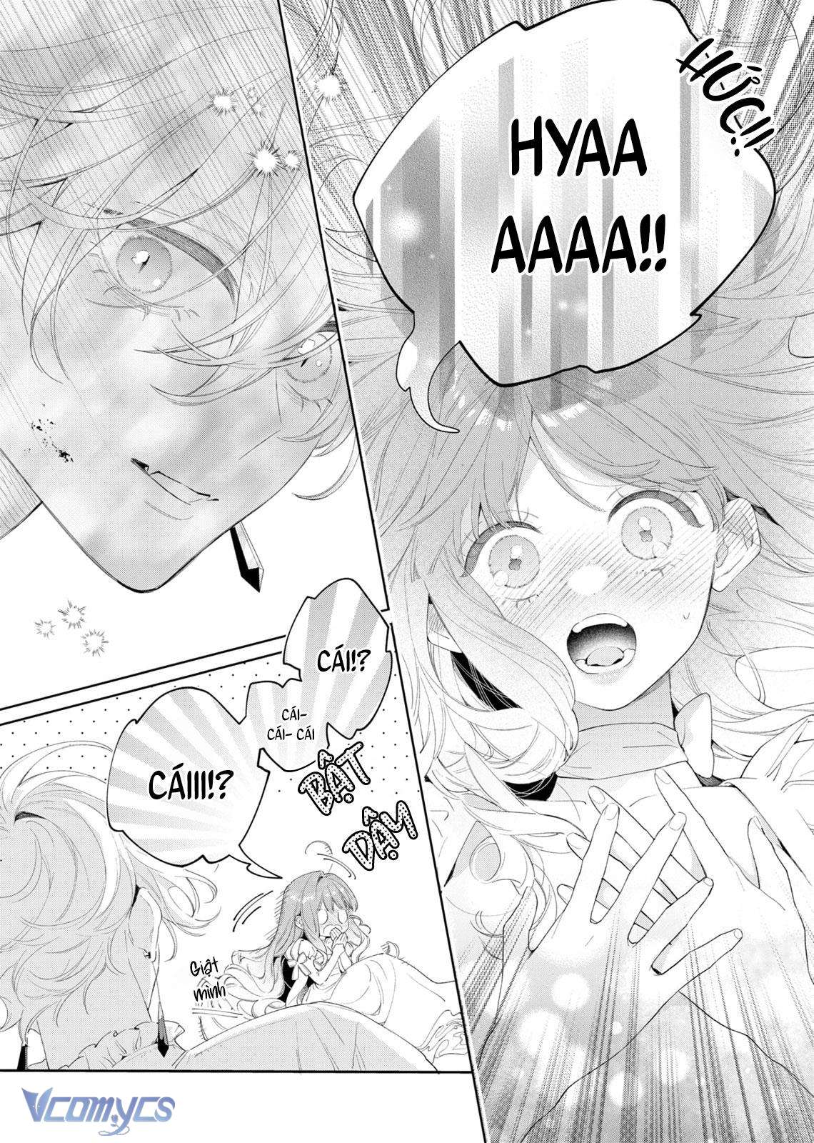 Hoa Hồng Ẩn Giấu Sao Băng Chapter 3 - Next Chapter 4