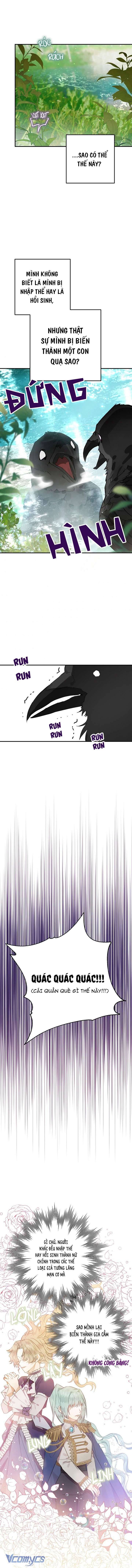 Bỗng Nhiên Tôi Trở Thành Quạ Đen!! Chapter 1 - Trang 4