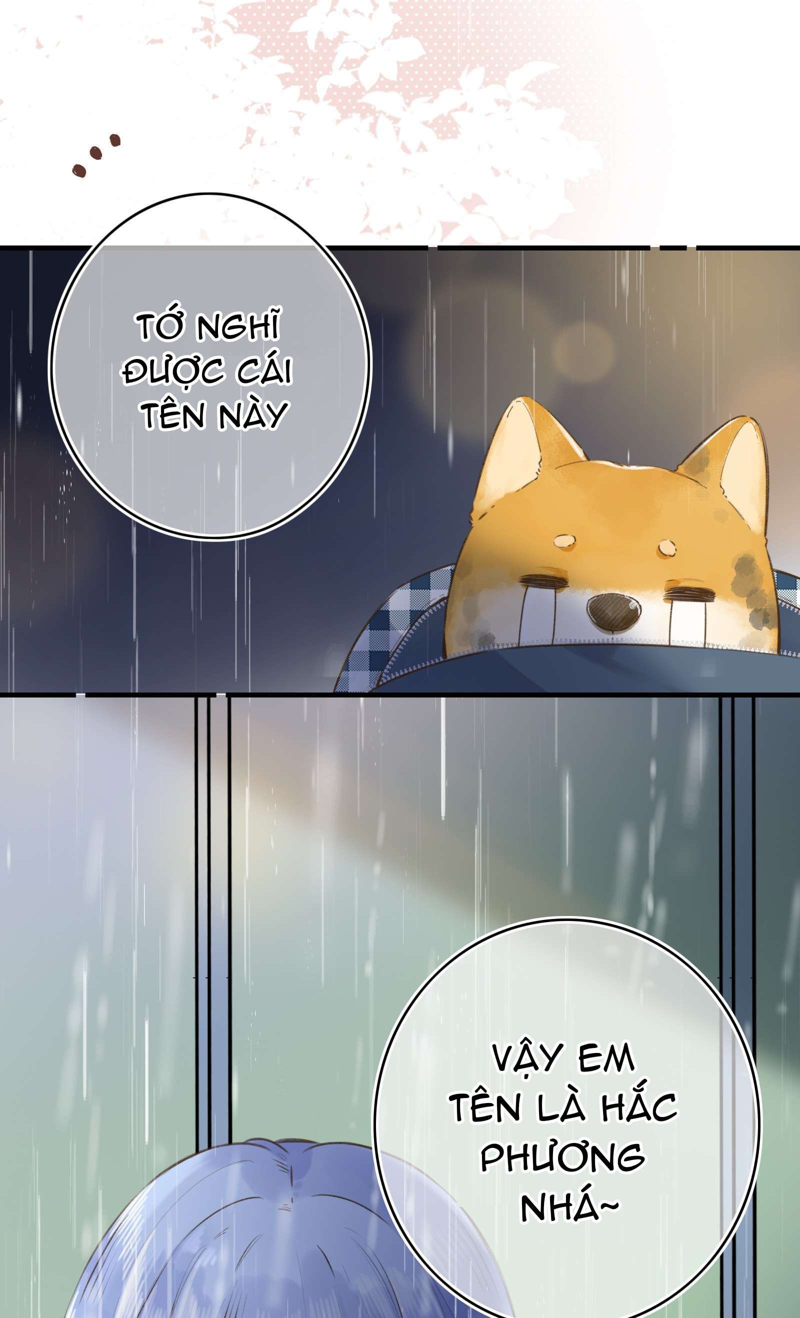 Ánh Sao Phiêu Linh Trong Nước Chapter 39 - Next Chapter 40