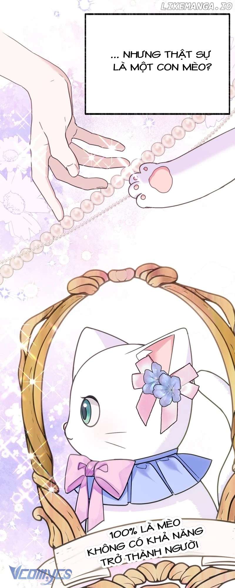 Trở Thành Chú Mèo Ngủ Cùng Bạo Chúa Chapter 3 - Next Chapter 4