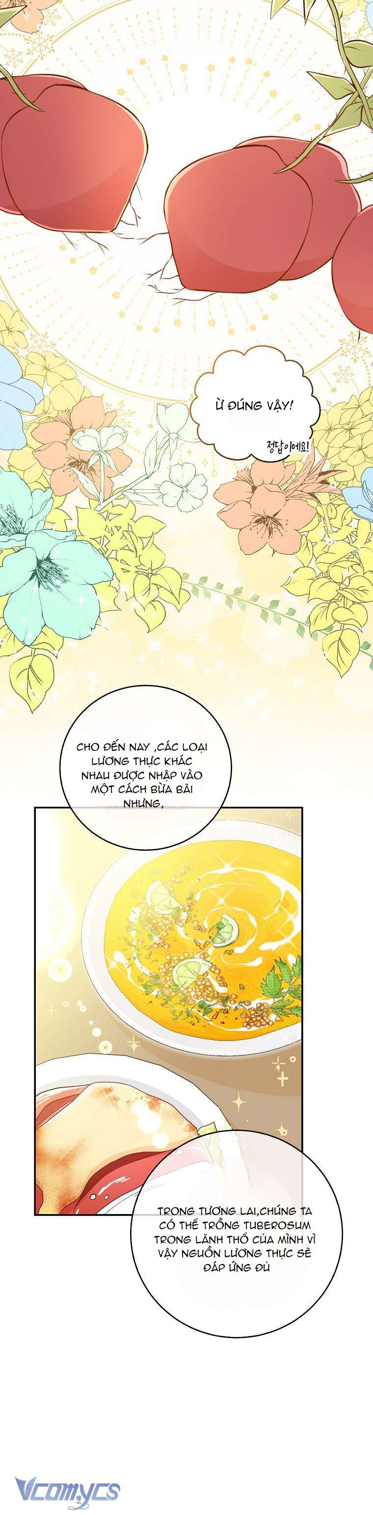 Sóc Con Tài Năng Chap 26 - Trang 2