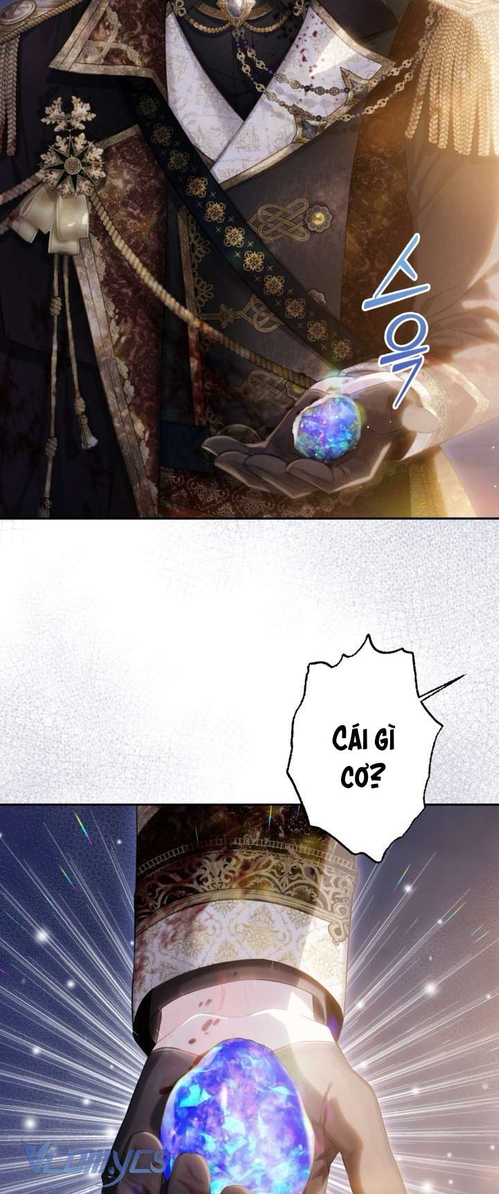 Người Anh Trai Mạnh Nhất Của Tôi Đã Mất Trí Nhớ Chap 1 - Trang 4