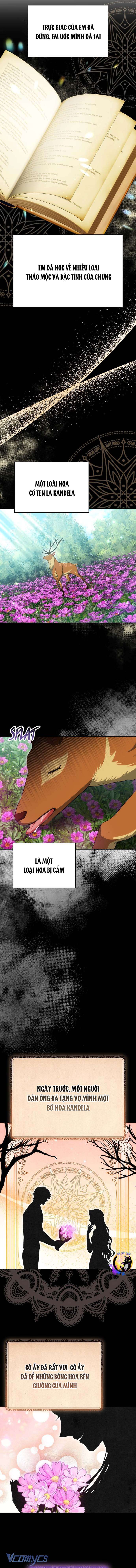 Cuộc đời của Maria Lewellin Chap 37 - Trang 2