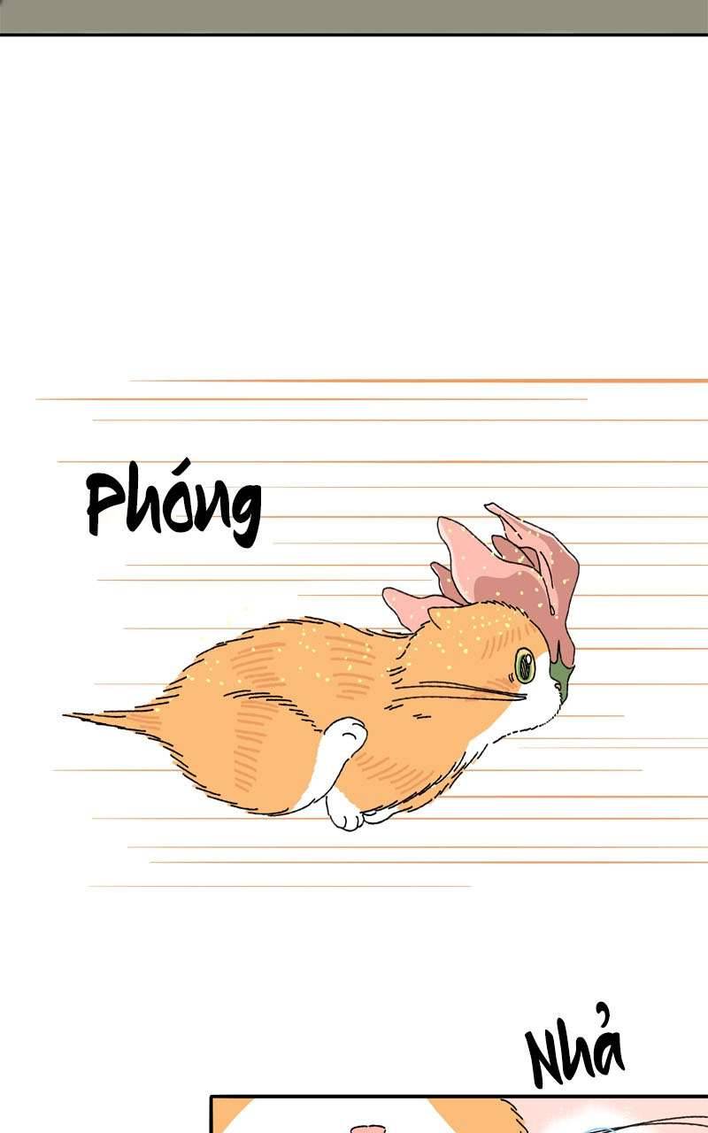 Chú Mèo Tata Chapter 3 - Trang 3