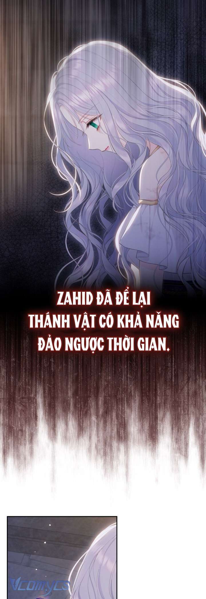 Người Anh Trai Mạnh Nhất Của Tôi Đã Mất Trí Nhớ Chap 1 - Trang 4