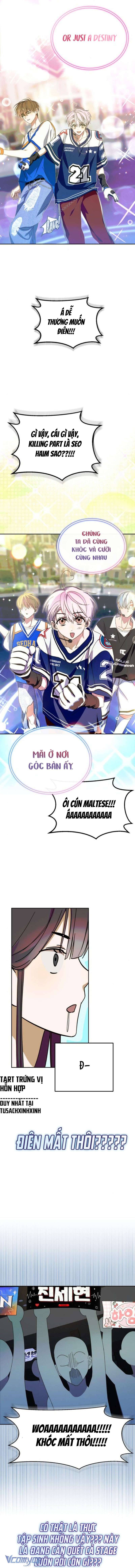 STARDUST PROJECT Chap 17 - Next Chap 17