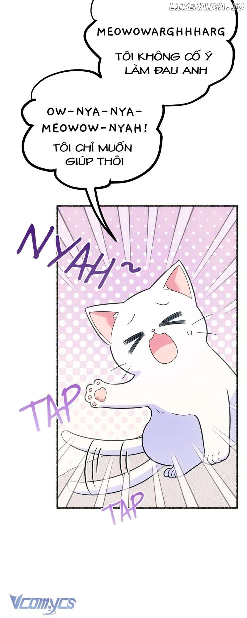 Trở Thành Chú Mèo Ngủ Cùng Bạo Chúa Chapter 2 - Trang 3