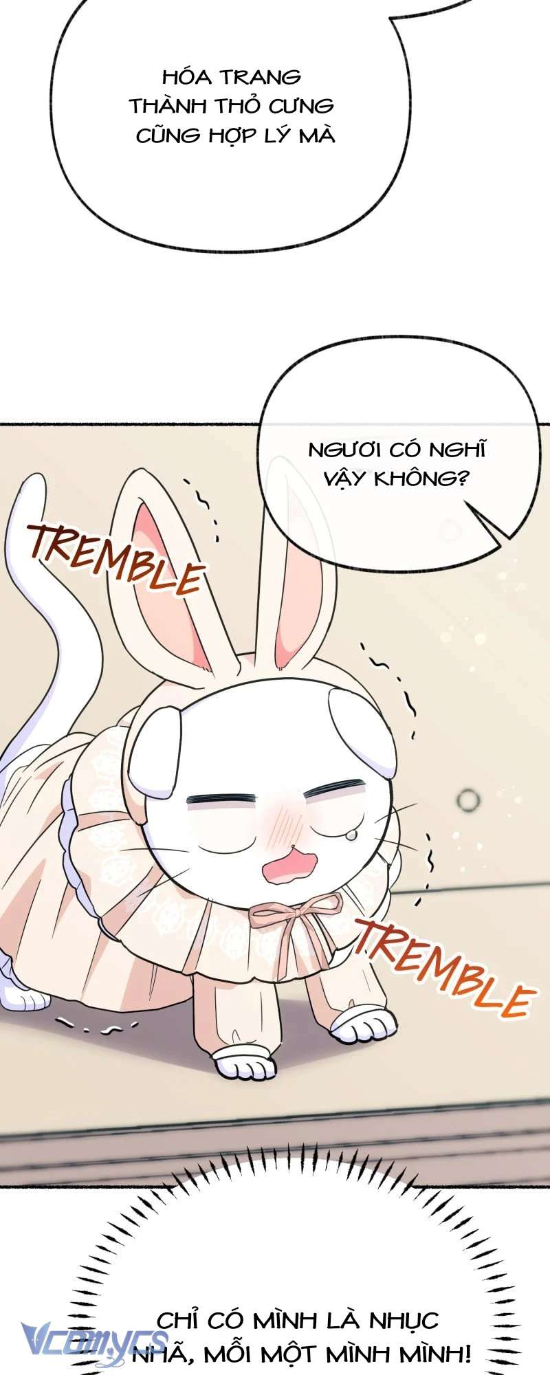 Trở Thành Chú Mèo Ngủ Cùng Bạo Chúa Chapter 16 - Trang 3