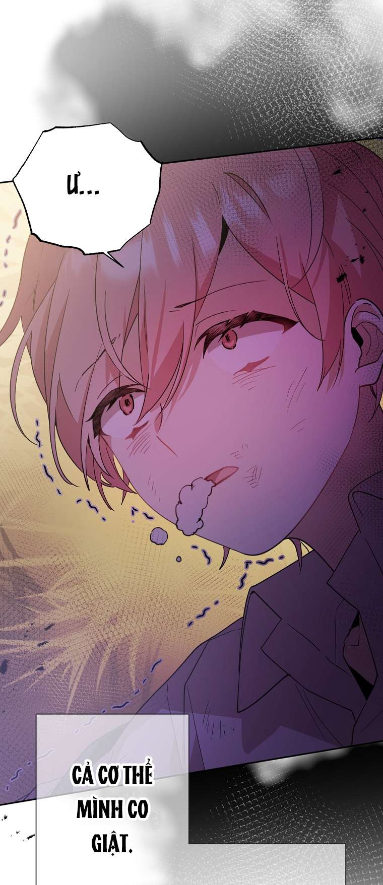 Quý Tộc Gì Chứ, Tôi Chỉ Muốn Về Nhà Chap 12 - Trang 2