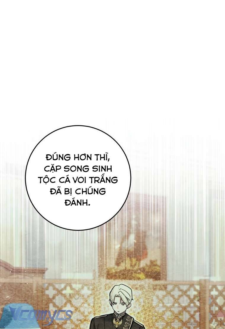 Bé Con Cá Voi Sát Thủ Chapter 17 - Trang 4