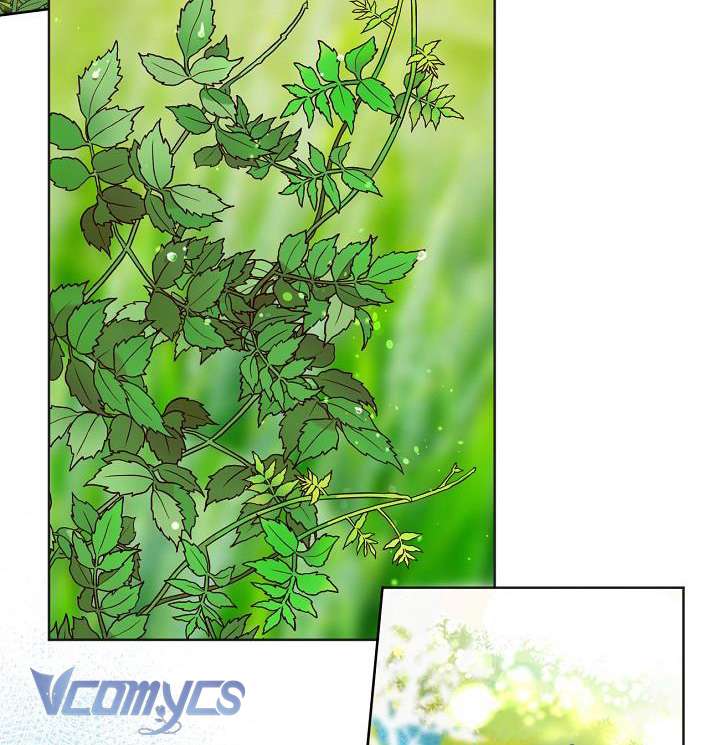 Sự Điều Trị Đặc Biệt Của Tinh Linh Chapter 17 - Trang 4