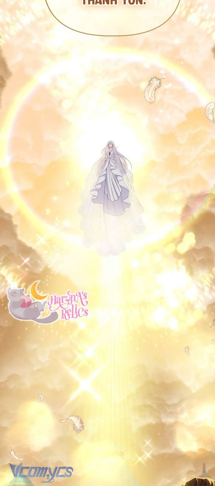 Sự Điều Trị Đặc Biệt Của Tinh Linh Chapter 87 - Trang 4