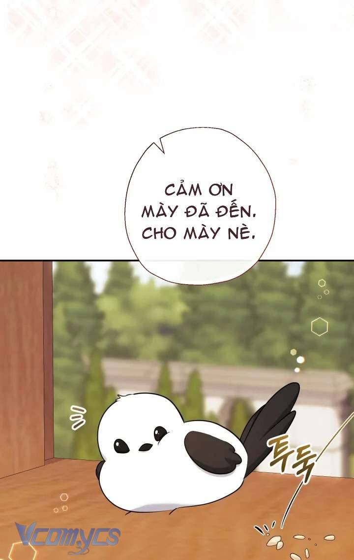 Tiểu Thư Tích Tiền Đi Bụi Chapter 54 - Trang 4