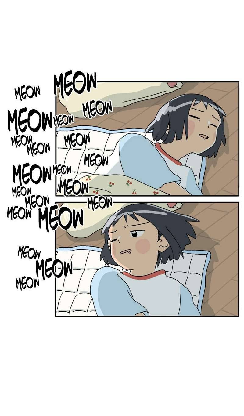 Chú Mèo Tata Chapter 1 - Trang 3