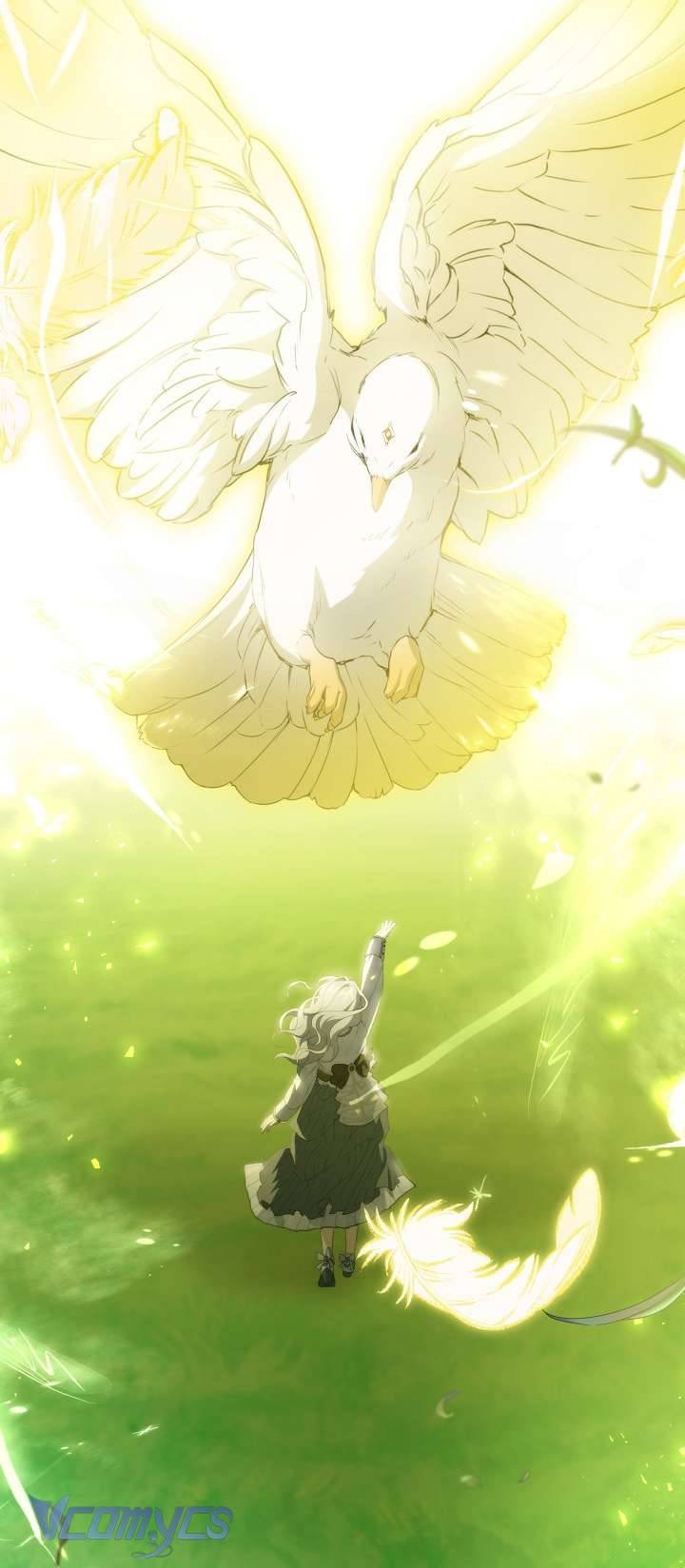 Lại Một Lần Nữa Hướng Về Ánh Sáng Chap 79 - Next Chap 80