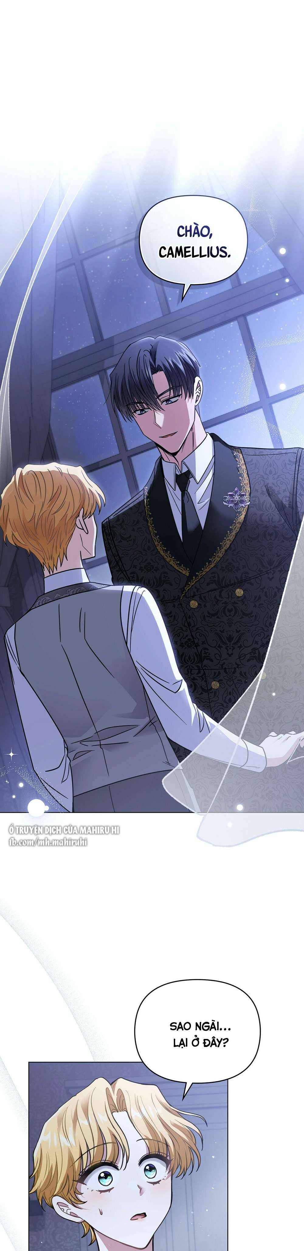 Tìm Lại Camellia Chapter 65 - Trang 4