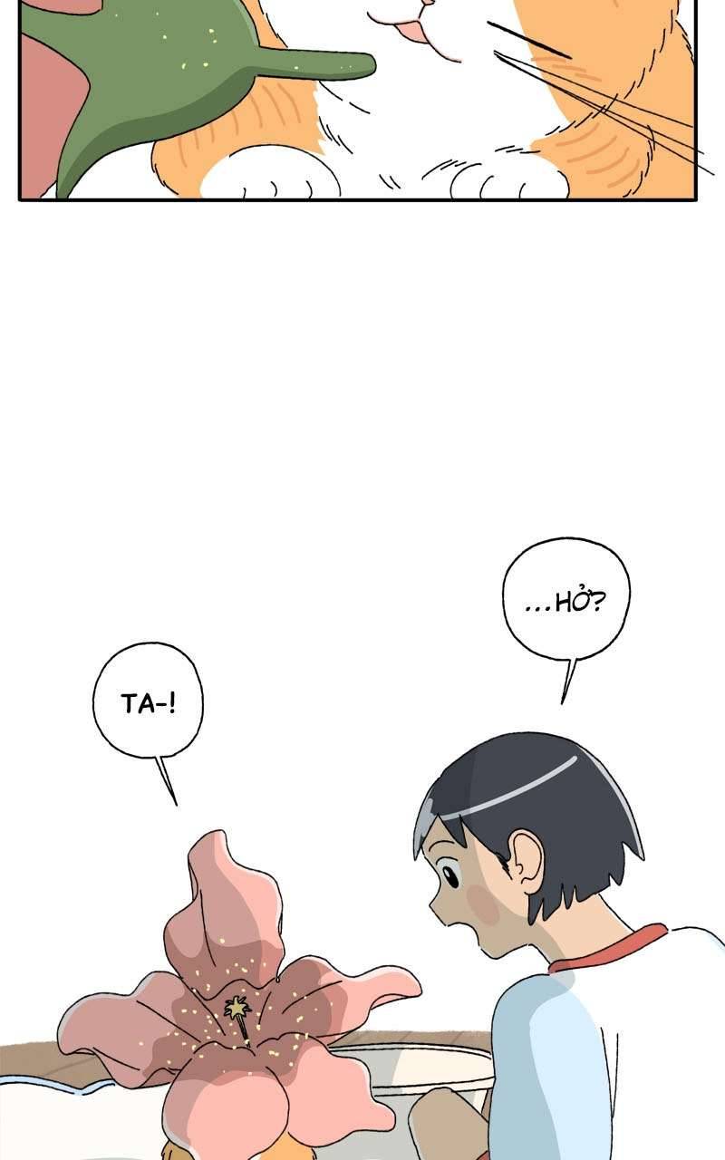 Chú Mèo Tata Chapter 3 - Trang 3