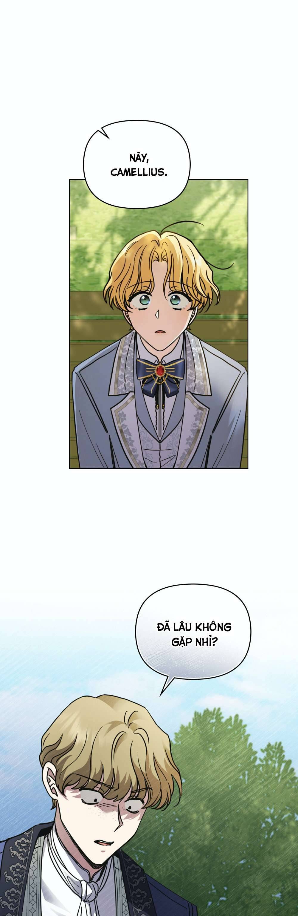 Tìm Lại Camellia Chapter 55 - Trang 4
