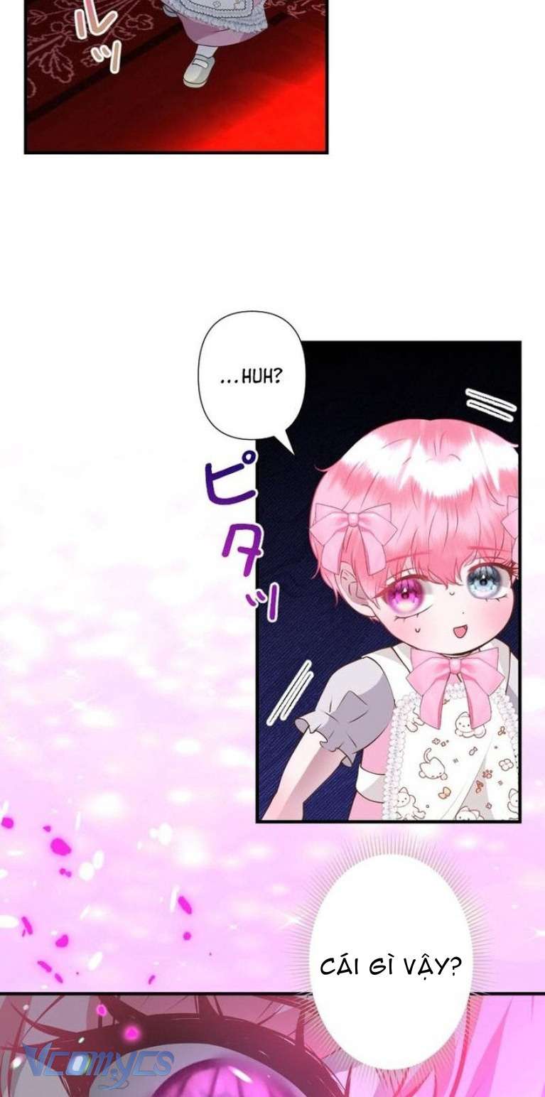 Sau Này Họ Sẽ Sinh Ra Tôi Chapter 12 - Trang 4