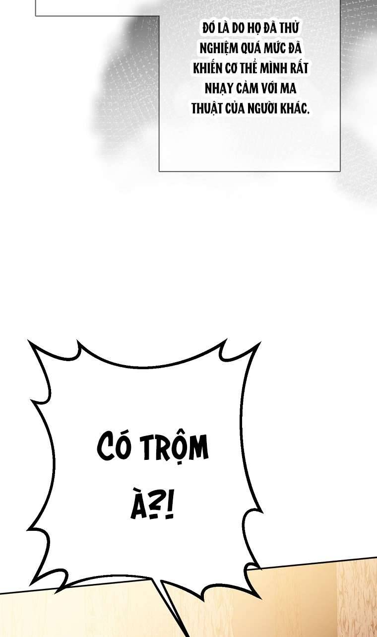 Quý Tộc Gì Chứ, Tôi Chỉ Muốn Về Nhà Chap 12 - Trang 2