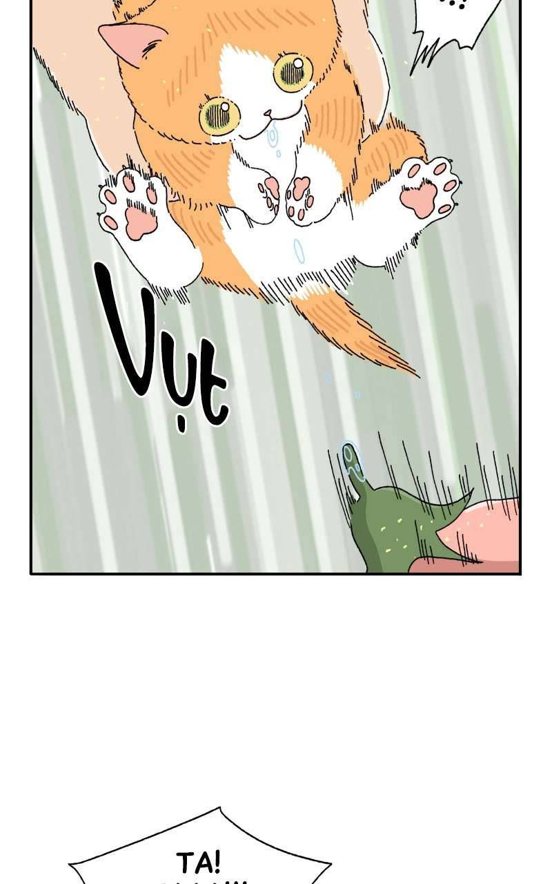 Chú Mèo Tata Chapter 3 - Trang 3