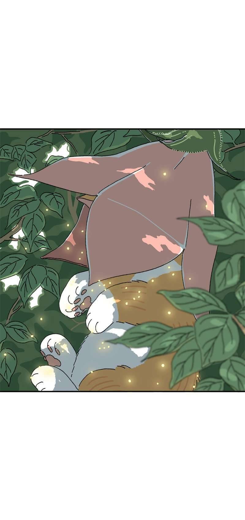 Chú Mèo Tata Chapter 1 - Trang 3