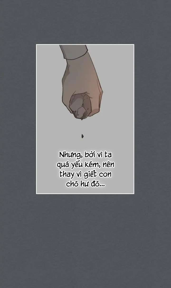 Vị Hôn Thê Khế Ước Của Công Tước Chapter 85 - Trang 4