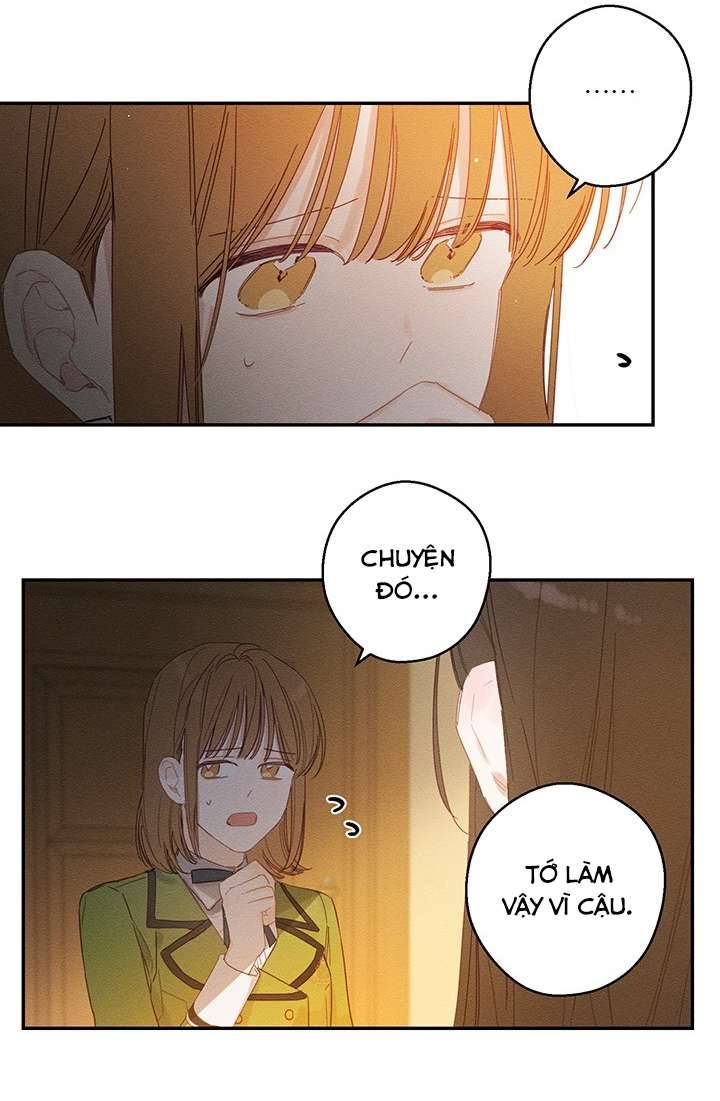 Trước Tiên Phải Giấu Em Trai Cái Đã! Chap 11 - Trang 2