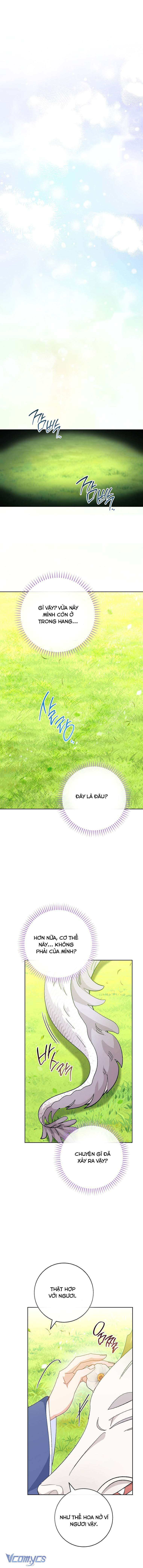 Tiểu Thiếp Chỉ Muốn Sống Yên Bình Chapter 105 - Next Chapter 106