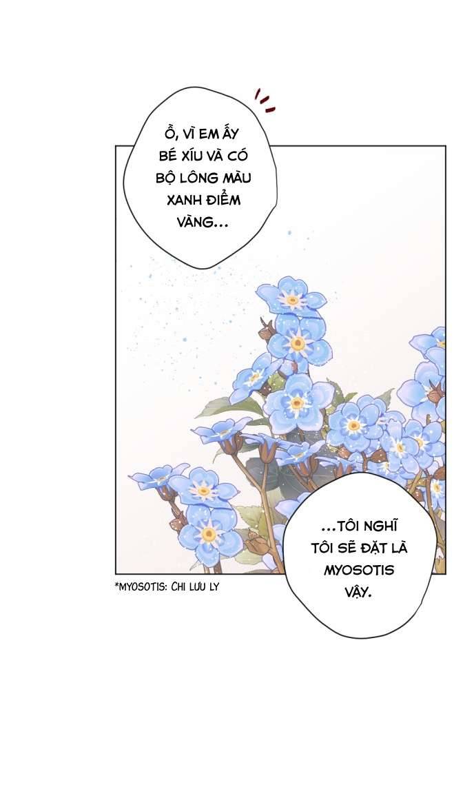 Lời Thú Nhận Của Chúa Tể Bóng Tối Chap 11 - Trang 4
