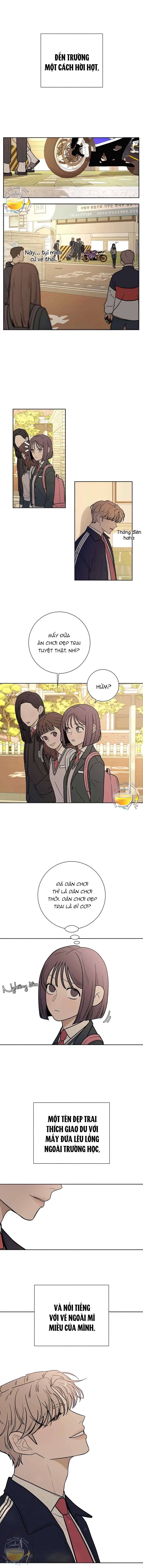 Chiến Lược: Tình Yêu Trong Sáng Chapter 13 - Next Chapter 14