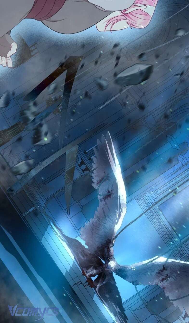 Sự Điều Trị Đặc Biệt Của Tinh Linh Chapter 72 - Trang 4