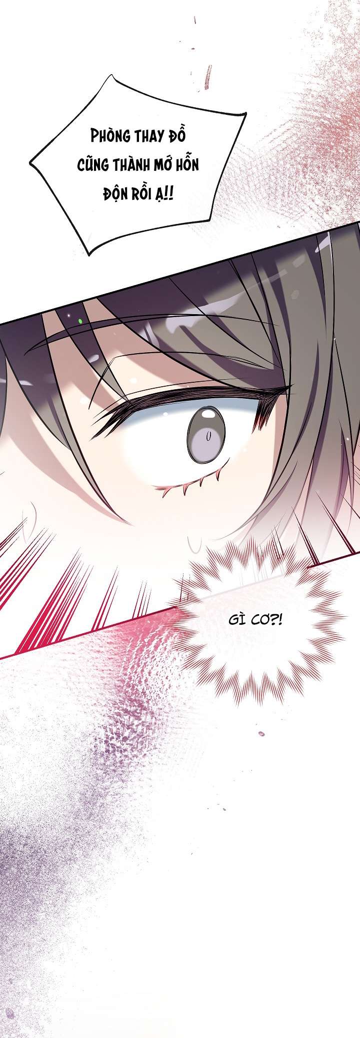 Chúng Ta Có Thể Trở Thành Một Gia Đình Được Không? Chap 69 - Trang 2