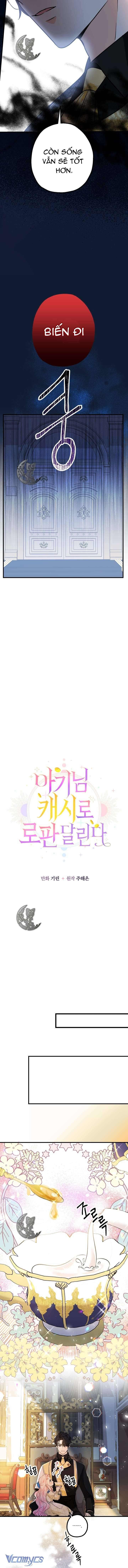 Tiểu Thư Tích Tiền Đi Bụi Chapter 14 - Trang 4