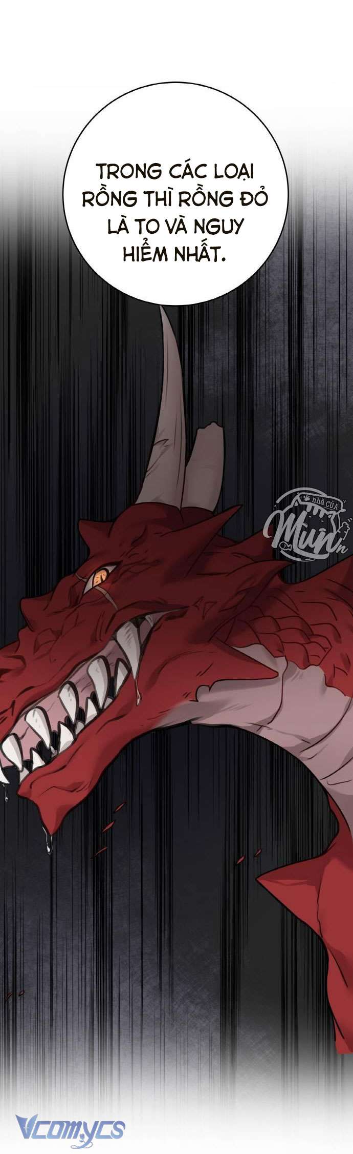 Nhật Ký Tuần Trăng Mật Của Phù Thủy Và Rồng Chapter 52 - Trang 4