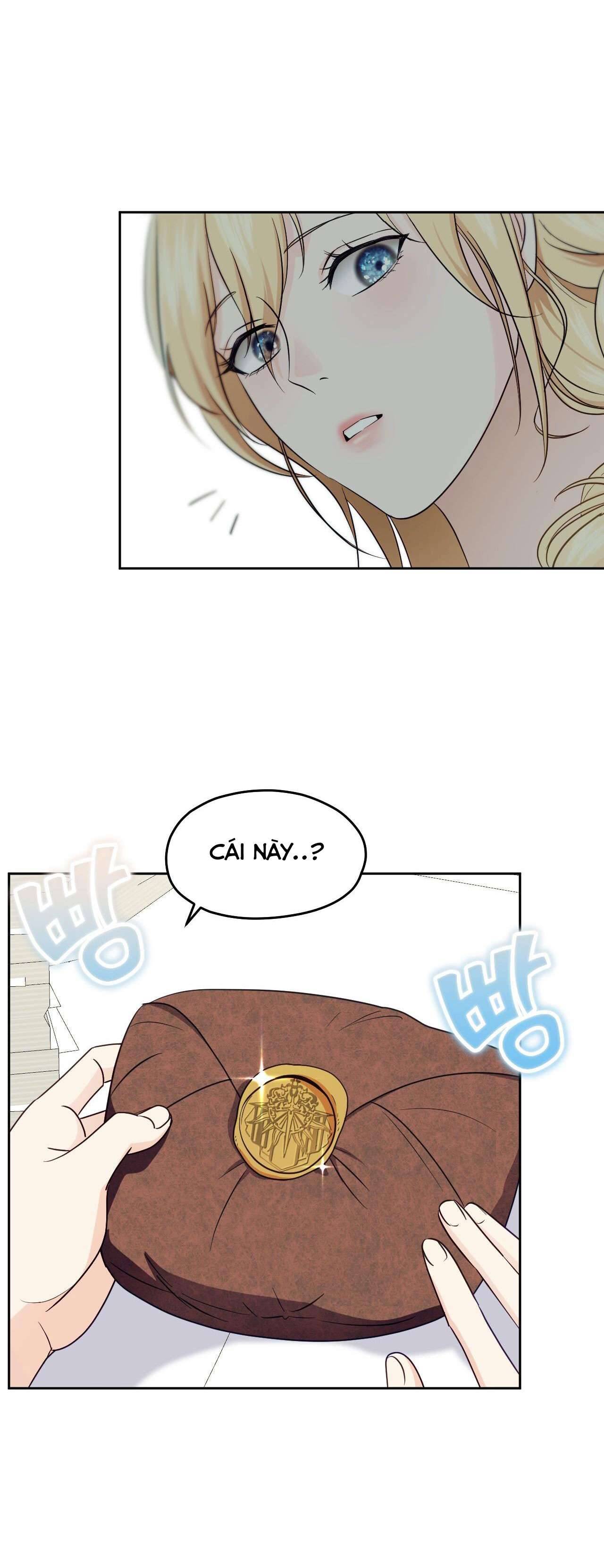 Thánh Nữ Giả Muốn Bỏ Trốn Chap 17 - Trang 4