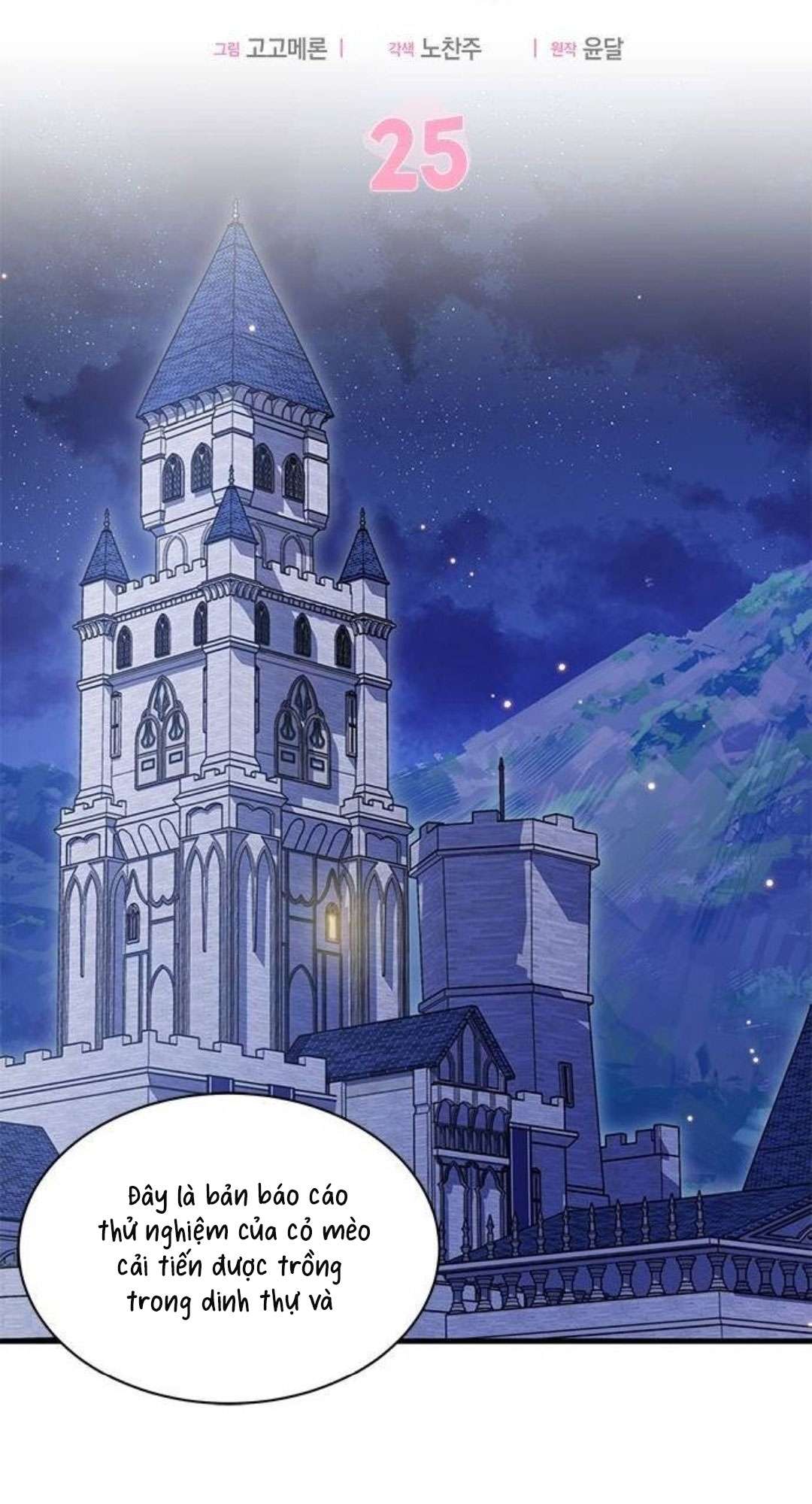 Mèo con được gia tộc sói nhận nuôi? Chapter 25 - Trang 3