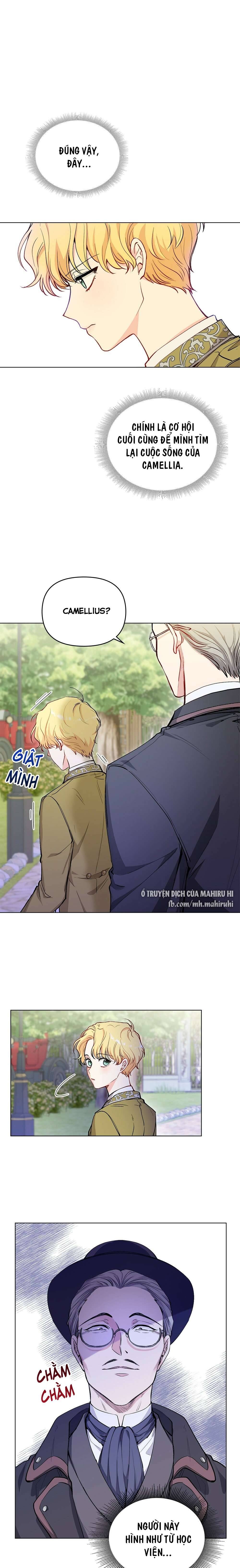 Tìm Lại Camellia Chapter 11 - Trang 4