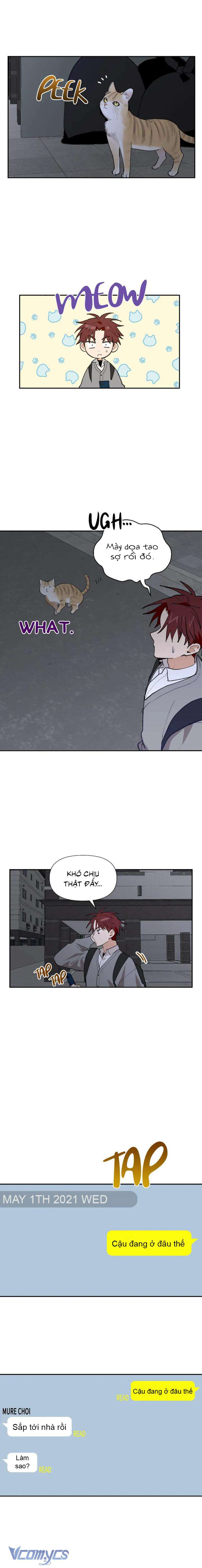 Điều Ước Sao Băng Chapter 18 - Trang 4