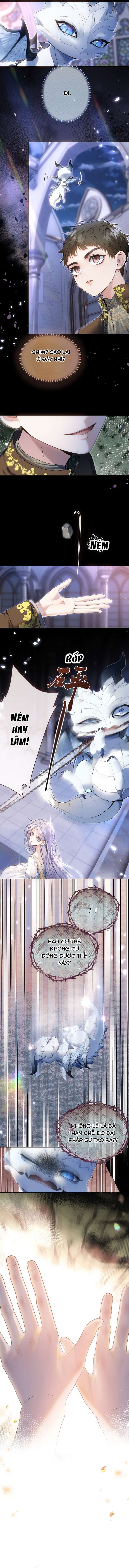 Nuôi Dưỡng Tân Nương Của Ác Long Chap 2 - Next Chap 3