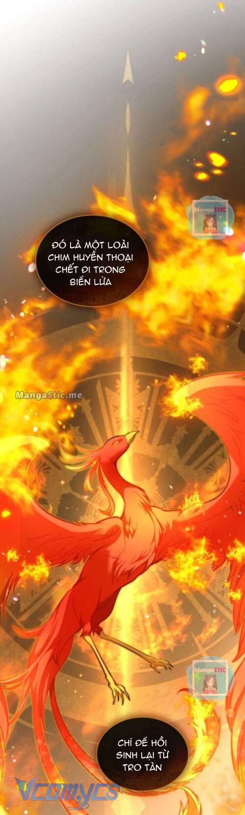 Hôn Nhân Giả Dối Chap 25 - Trang 3