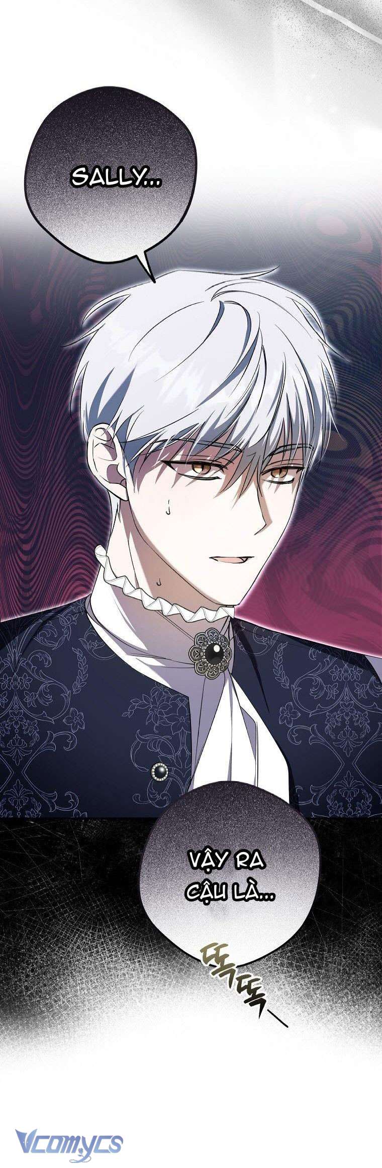 Các Nam Chính Đã Bị Nữ Phụ Cướp Mất Chap 3 - Trang 3