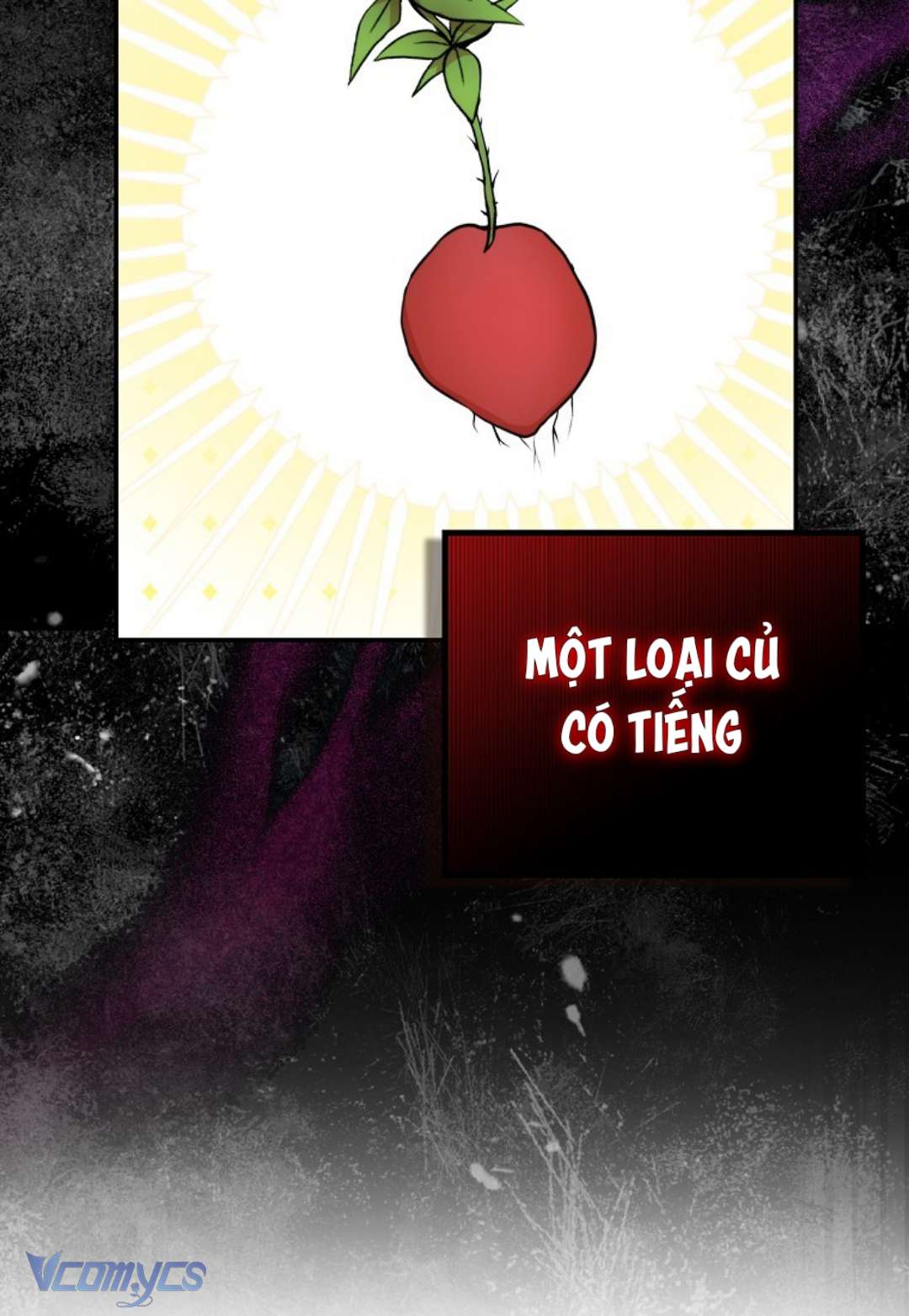 Sóc Con Tài Năng Chap 8 - Trang 2