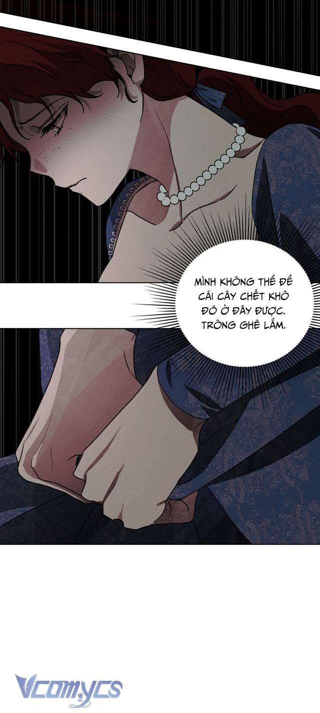 Dưới Bóng Cây Sồi Chap 18 - Trang 4