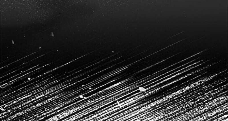 Cẩn Thận Với Các Anh Trai Đấy! Chap 62 - Trang 2